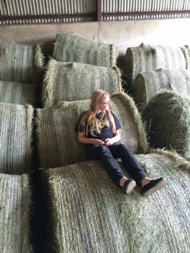 sitting on haystacks